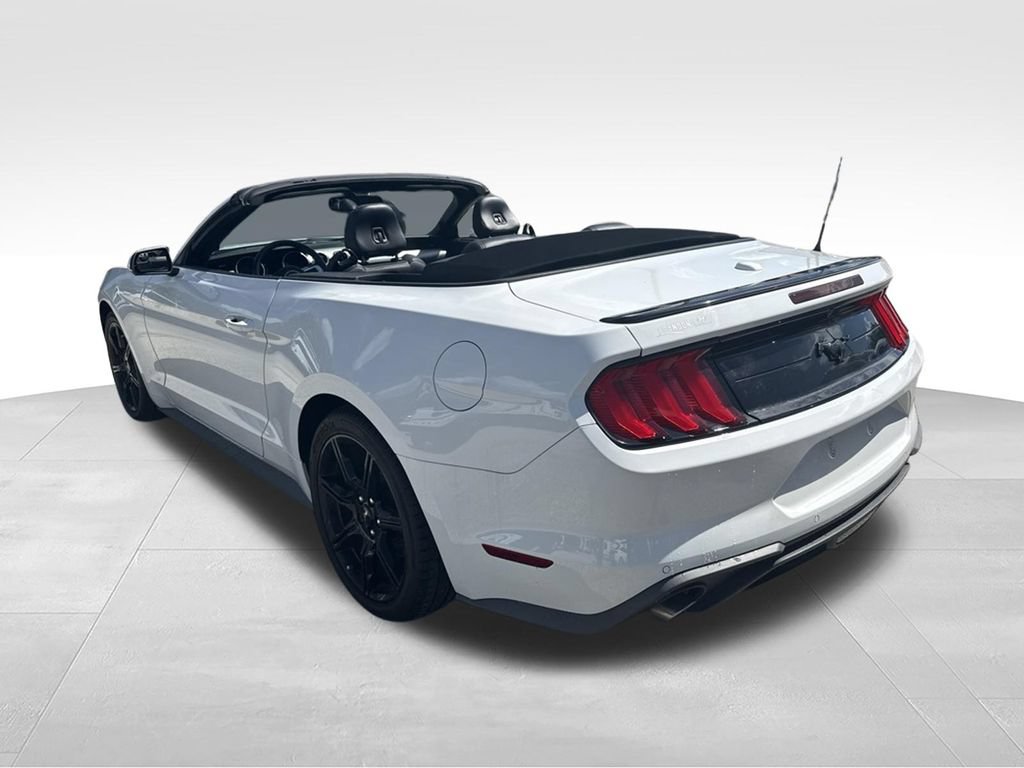 Used 2019 Ford Mustang Premium w/ Black Accent Package RWD image 4