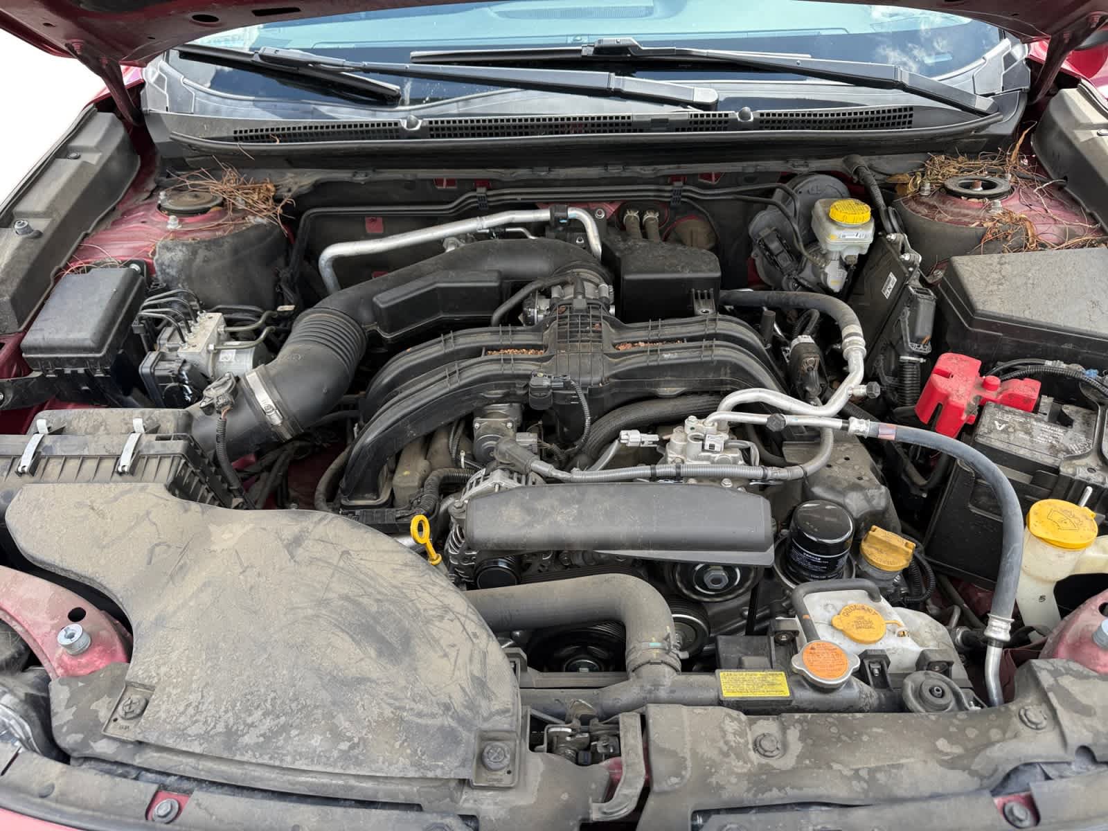 Used 2024 Subaru Outback Premium AWD/4WD image 24