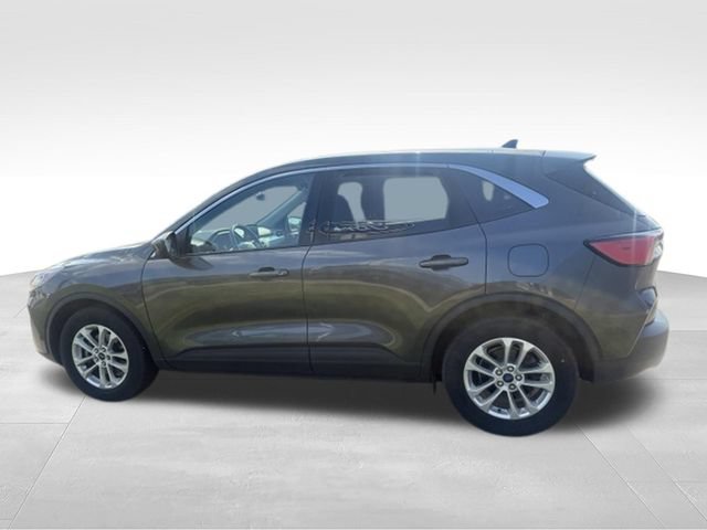 Used 2020 Ford Escape SE FWD image 8