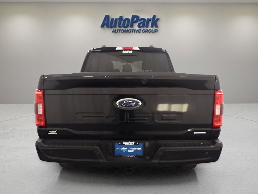 Used 2023 Ford F150 XLT w/ Equipment Group 302A High AWD/4WD image 6