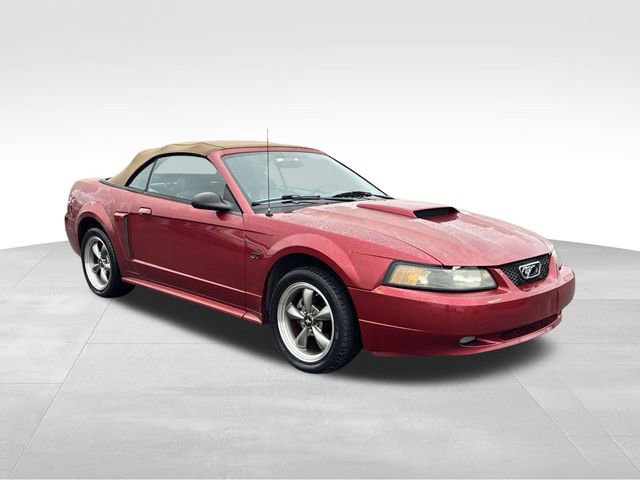 Used 2003 Ford Mustang GT image 7