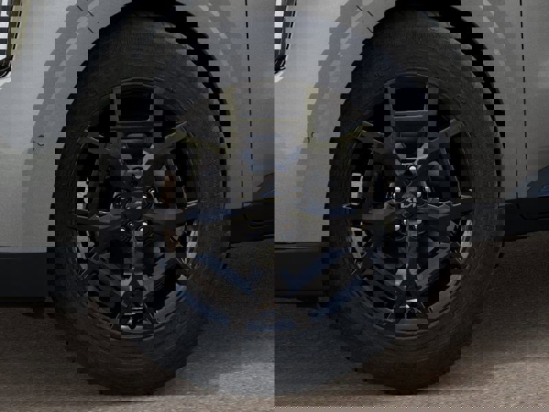 New 2026 Kia Carnival SX image 9