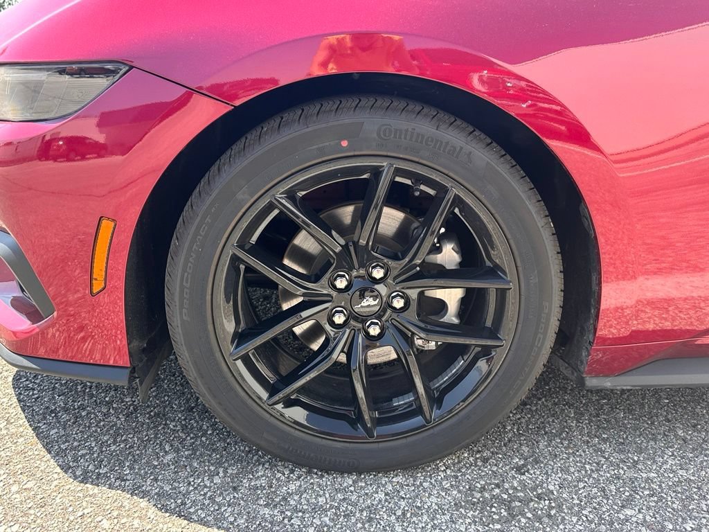 Used 2025 Ford Mustang Premium RWD image 45