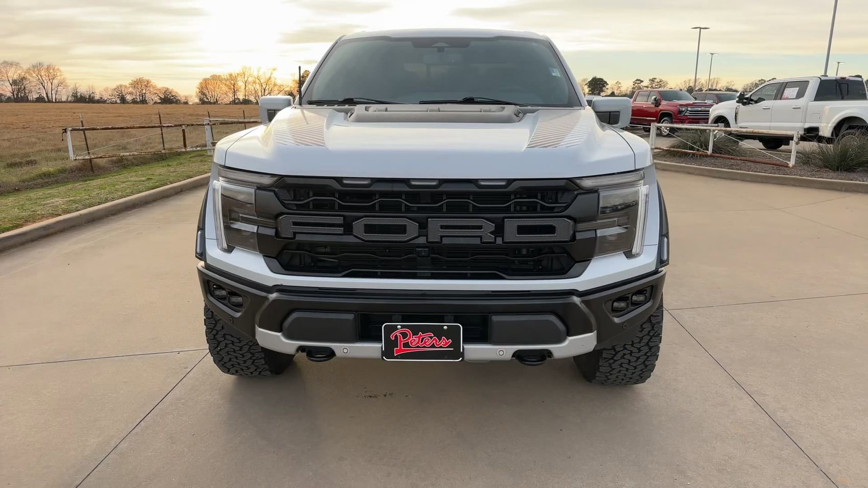 Used 2025 Ford F150 Raptor image 4