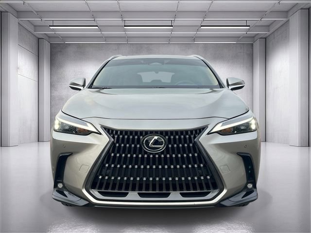 Used 2025 Lexus NX 350h AWD w/ Cold Area Package image 8