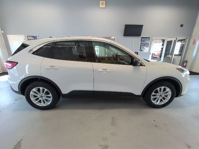 Certified 2022 Ford Escape SE AWD/4WD image 6