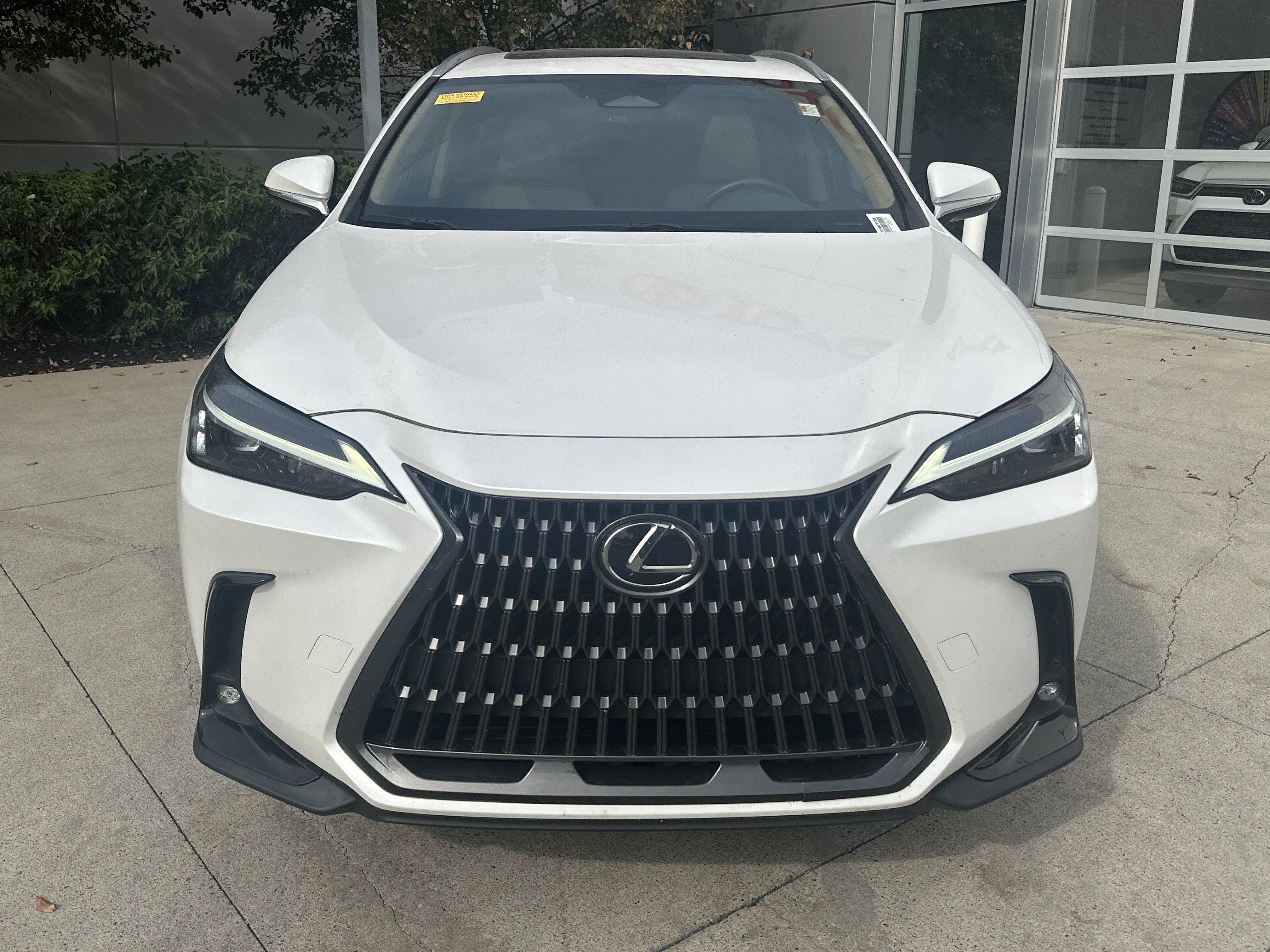 Used 2024 Lexus NX 350 AWD w/ Cold Area Package image 5