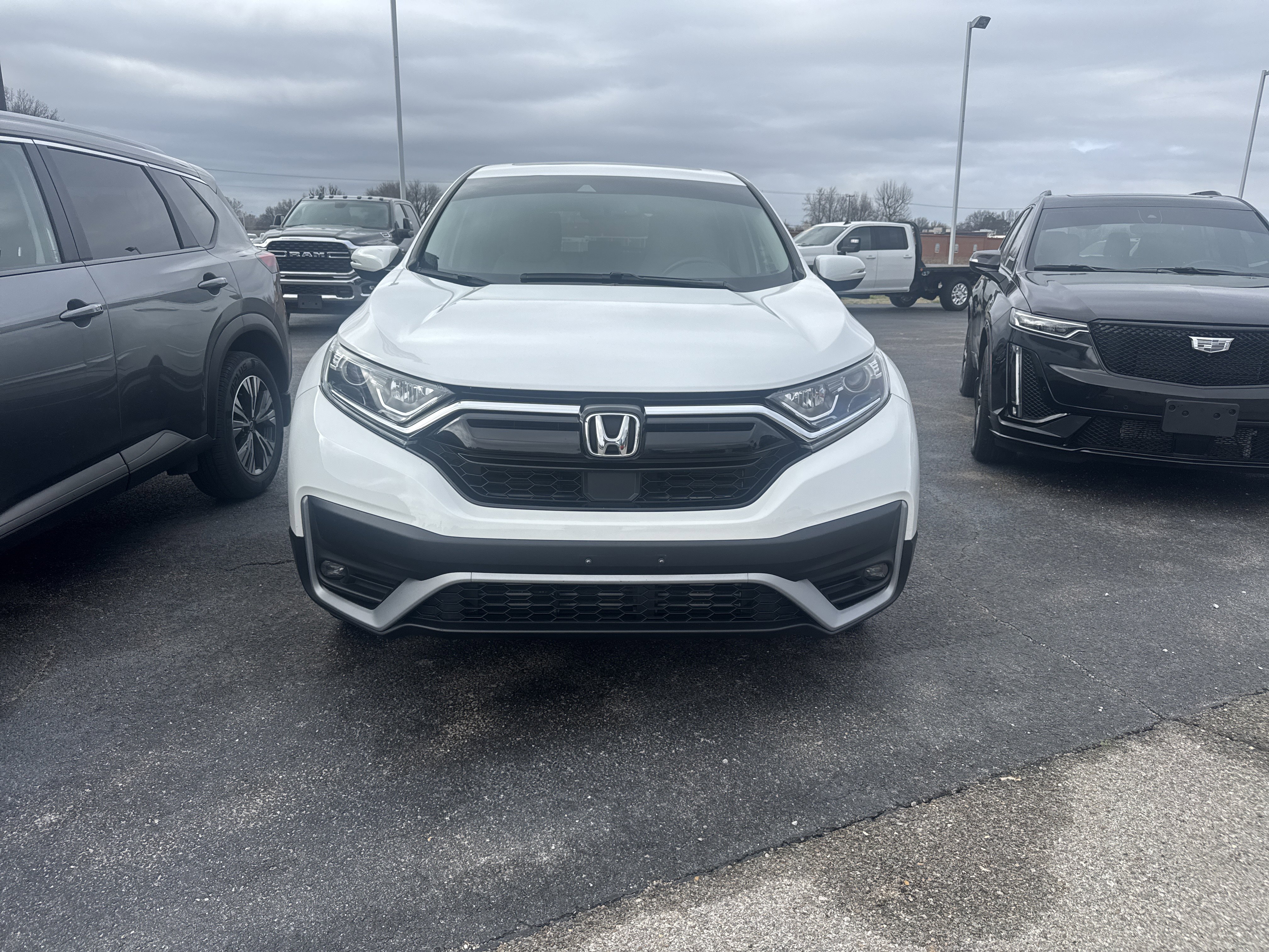 Used 2020 Honda CR-V EX-L image 6