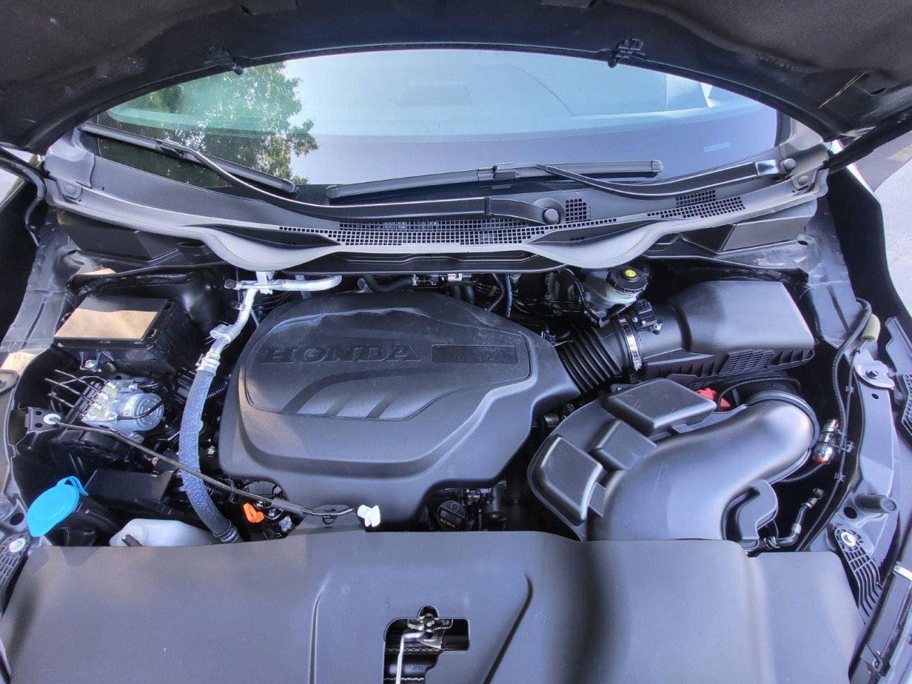 Certified 2023 Honda Odyssey Sport image 10