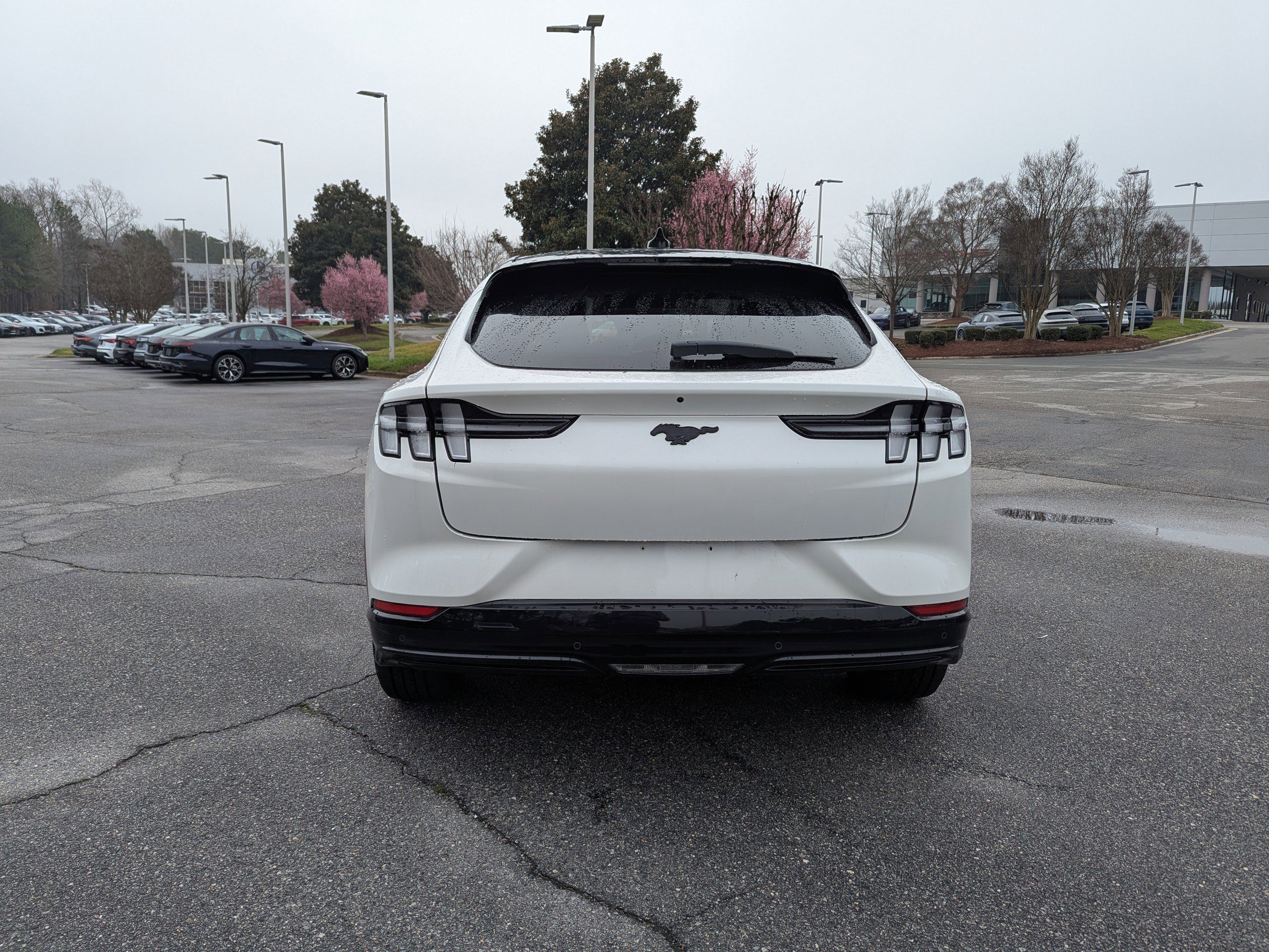 Used 2023 Ford Mustang Mach-E Premium w/ Mustang Nite Pony Package image 6