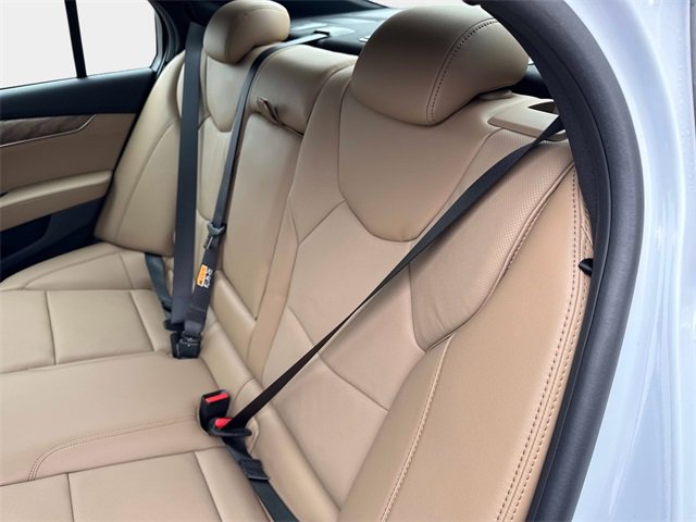 New 2026 Cadillac CT5 Premium Luxury w/ Technology Package image 12