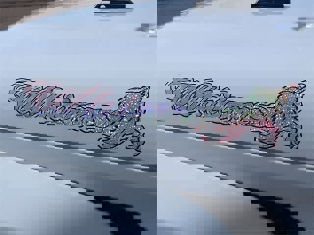 Used 2022 Jeep Wrangler Unlimited Sahara w/ Cold Weather Group image 13