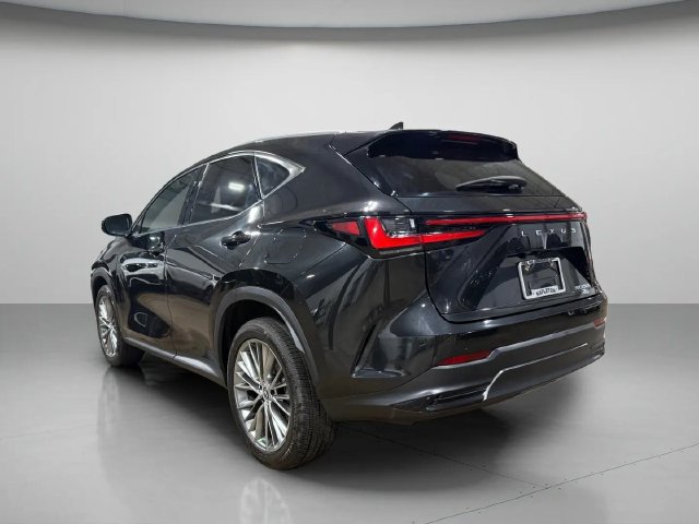 Certified 2023 Lexus NX 350h AWD w/ Vision Package image 6