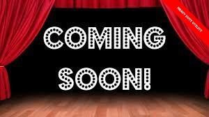 Used 2015 Ford E-350 and Econoline 350 Super Duty w/ Power Windows & Locks Group image 5