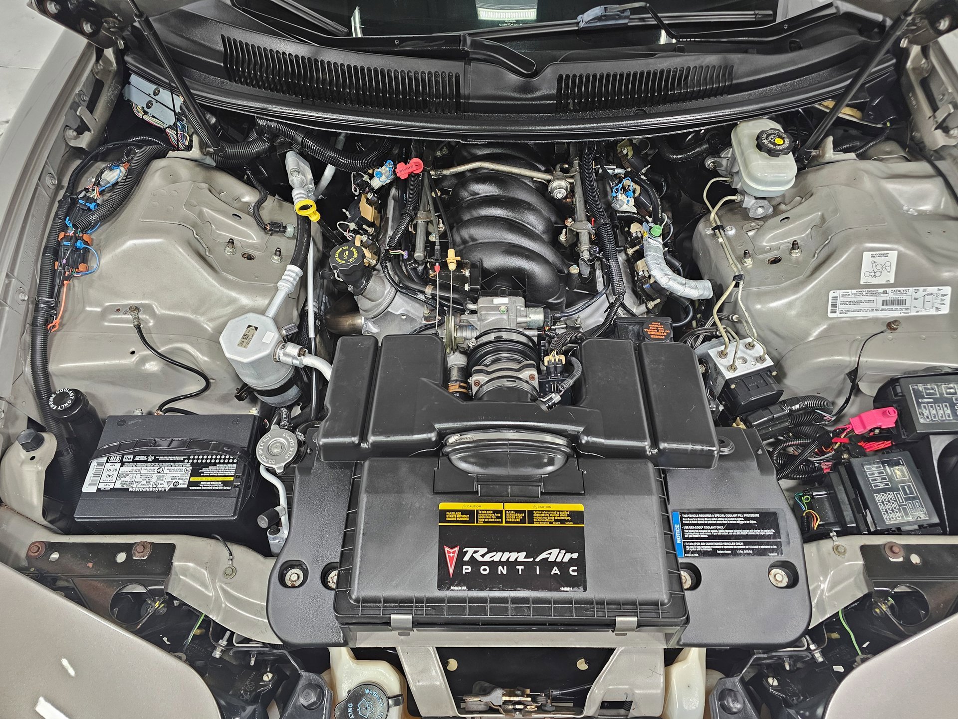 Used 2001 Pontiac Firebird Trans Am w/ SLP Firehawk Pkg image 4