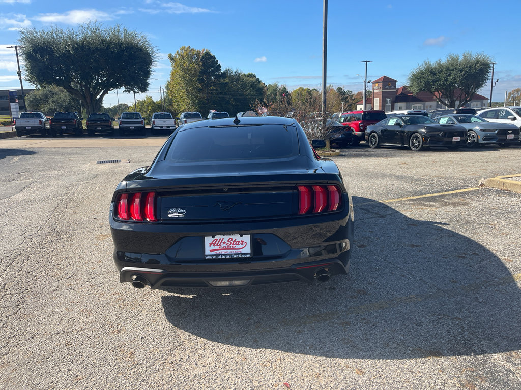 Used 2022 Ford Mustang EcoBoost w/ Equipment Group 101A image 7