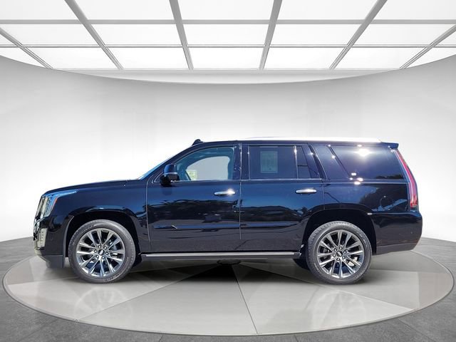 Used 2019 Cadillac Escalade Platinum w/ Escalade Sport Edition AWD/4WD image 7
