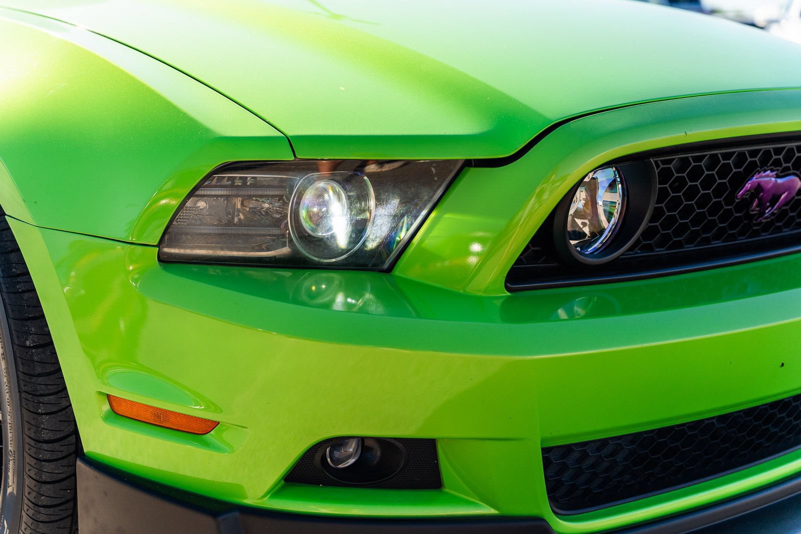 Used 2014 Ford Mustang GT w/ Equipment Group 301A RWD image 11