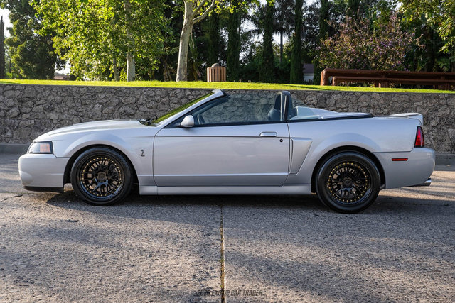 Used 2003 Ford Mustang Cobra RWD image 3