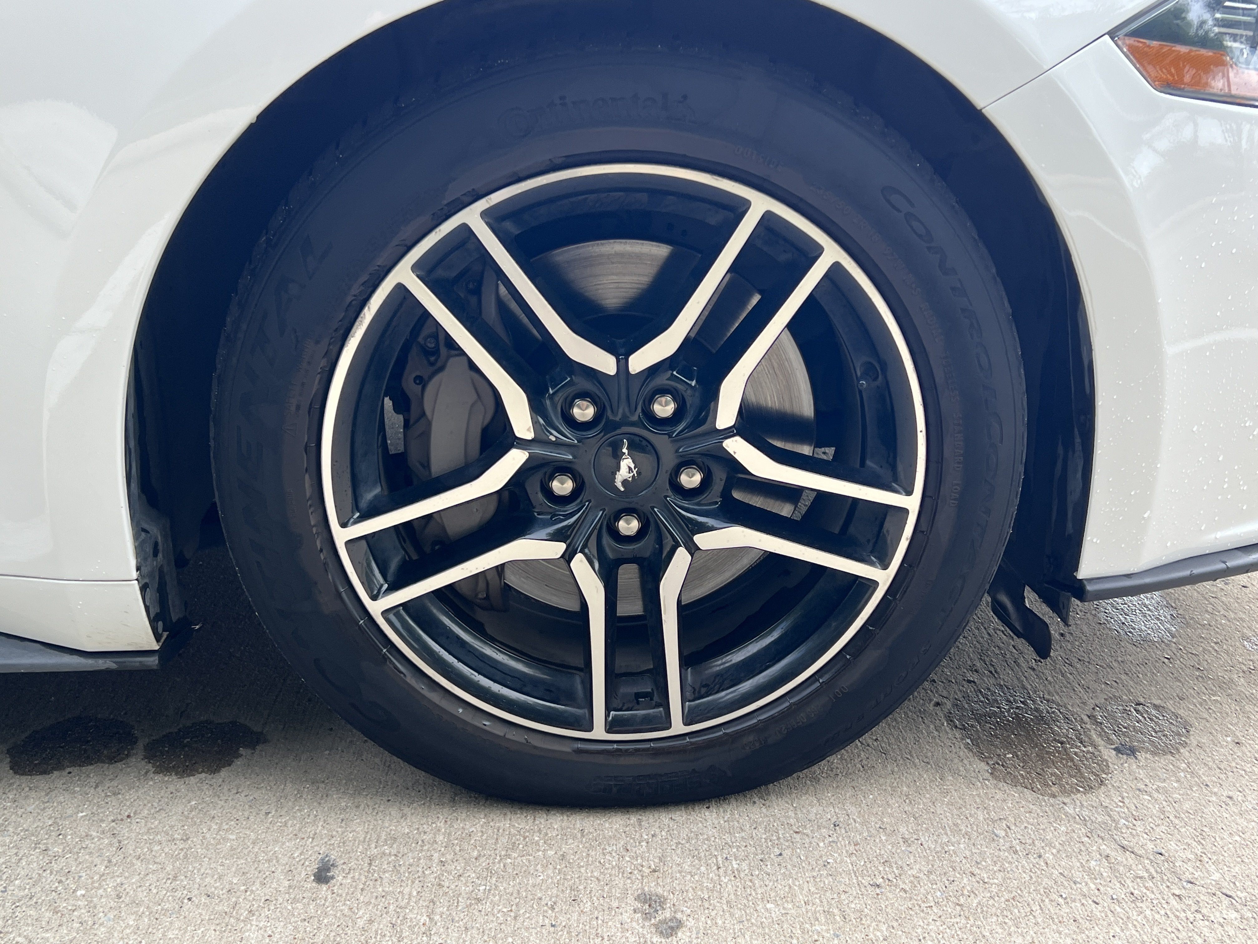 Used 2019 Ford Mustang GT Premium RWD image 11