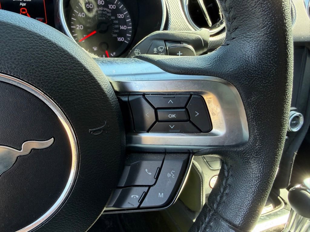 Used 2019 Ford Mustang EcoBoost w/ Equipment Group 101A image 15