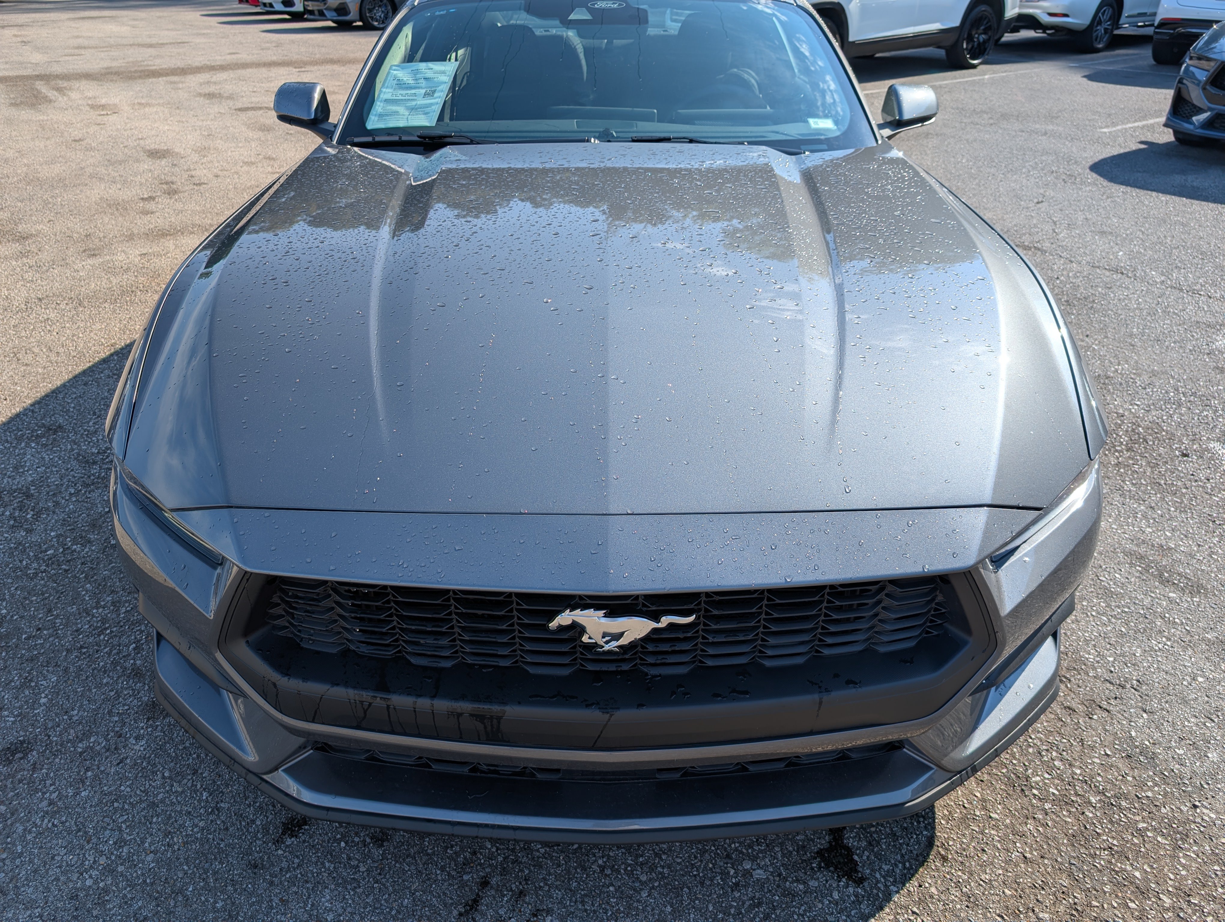 Used 2026 Ford Mustang Coupe RWD image 14
