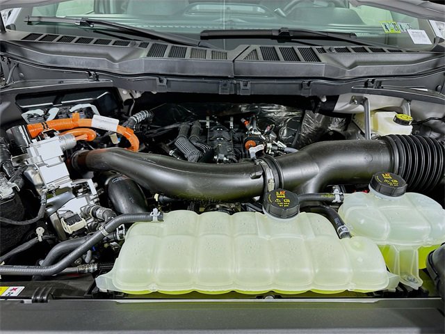 New 2025 Ford F150 XLT w/ Equipment Group 302A MID image 18