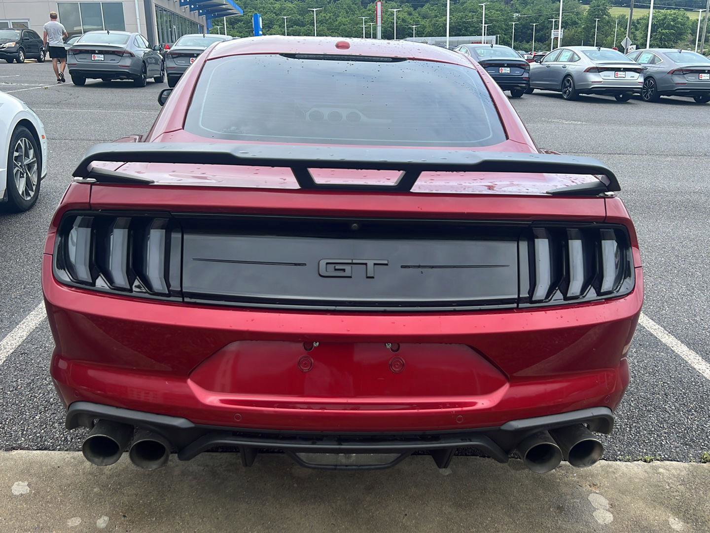 Used 2019 Ford Mustang GT w/ Equipment Group 301A RWD image 3