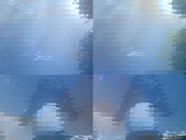 Used 2019 Hyundai Tucson Ultimate w/ Cargo Package image 25