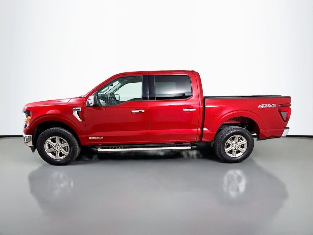 Used 2025 Ford F150 XLT w/ Equipment Group 301A Standard image 4