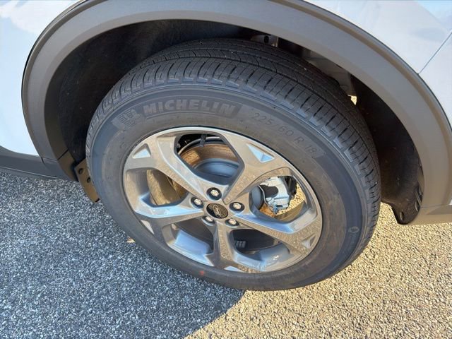 New 2026 Ford Escape ST-Line w/ Cold Weather Package image 7