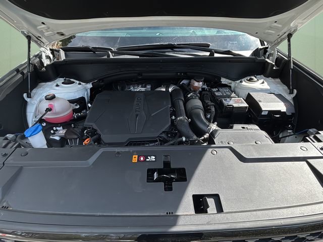 Used 2024 Hyundai Santa Fe Calligraphy image 12