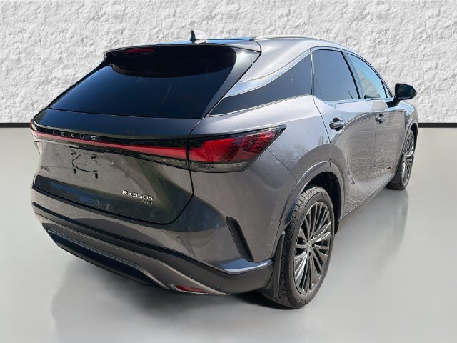 Used 2023 Lexus RX 350 w/ Cold Area Package AWD/4WD image 3