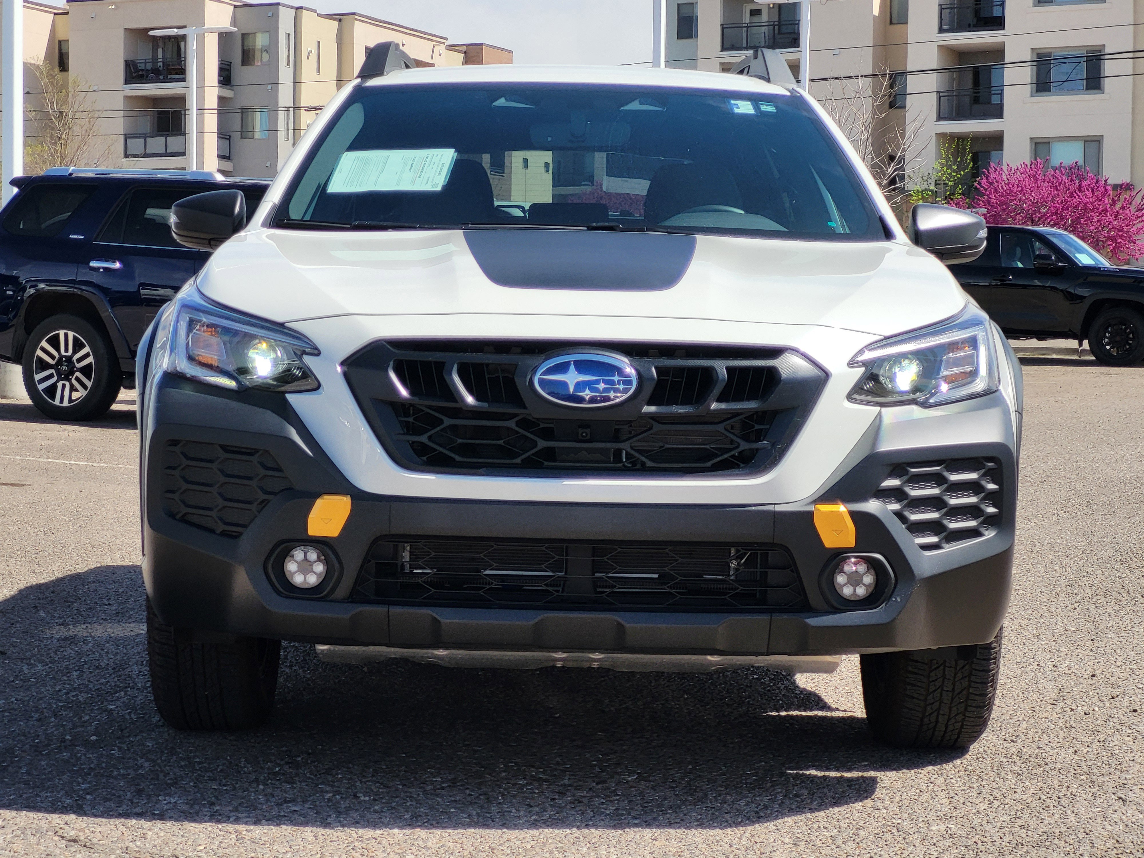 Used 2025 Subaru Outback Wilderness image 2