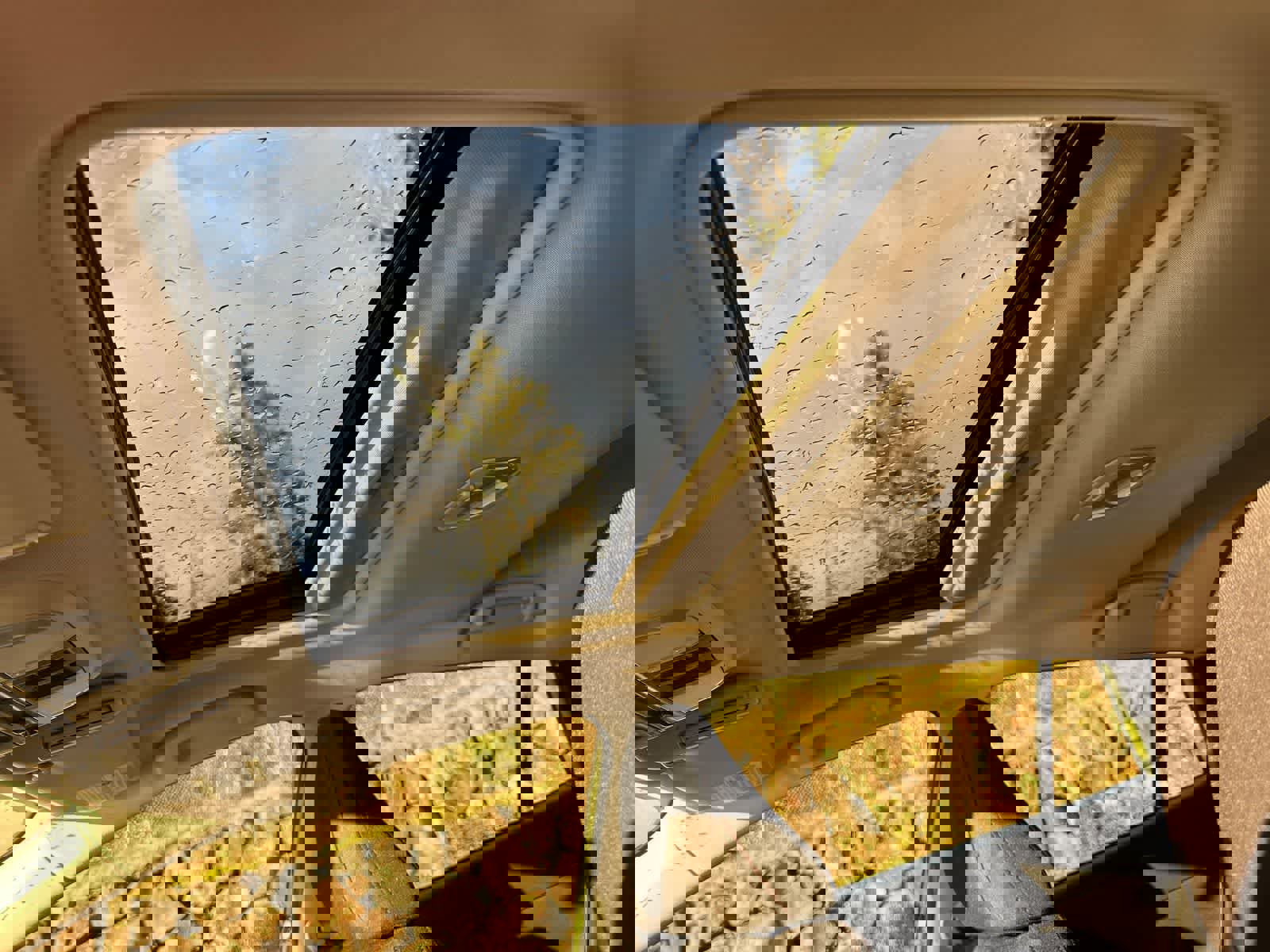 New 2026 Subaru Impreza 2.0i Sport image 15