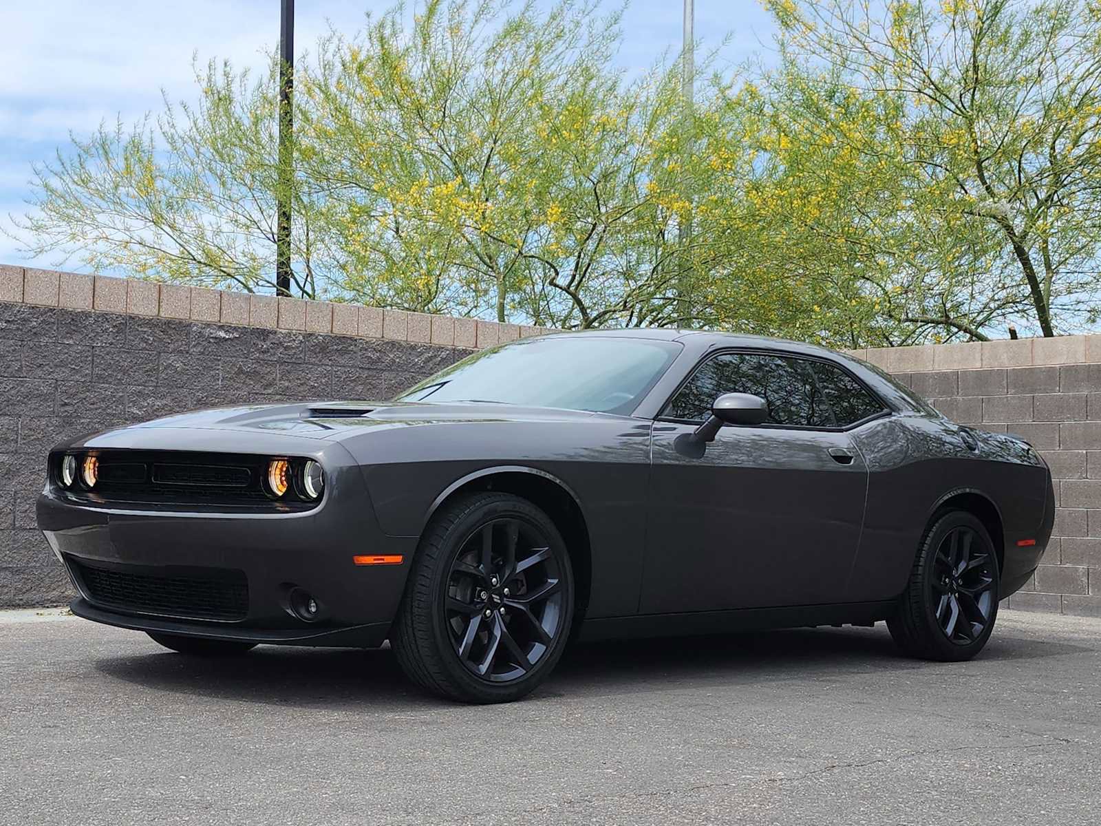 Used 2019 Dodge Challenger SXT w/ Blacktop Package image 5