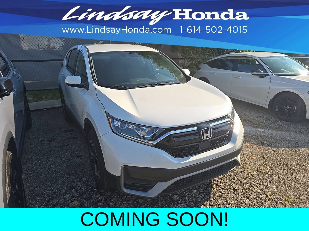Used 2021 Honda CR-V Special Edition image 3