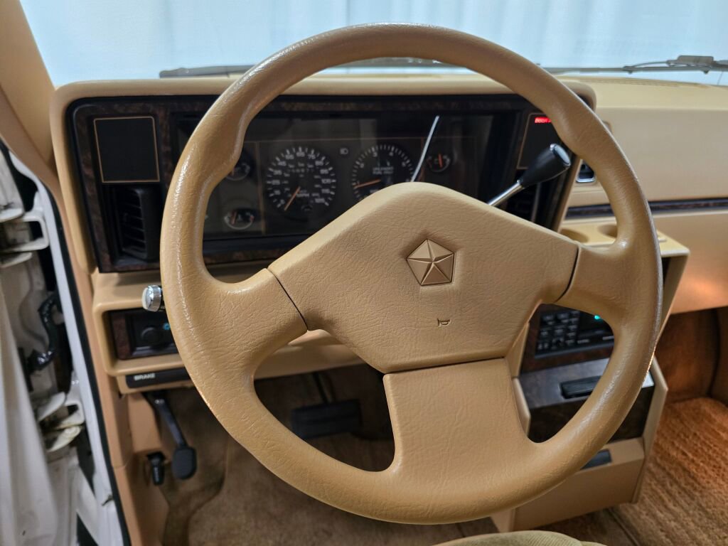 Used 1990 Dodge Grand Caravan LE image 68