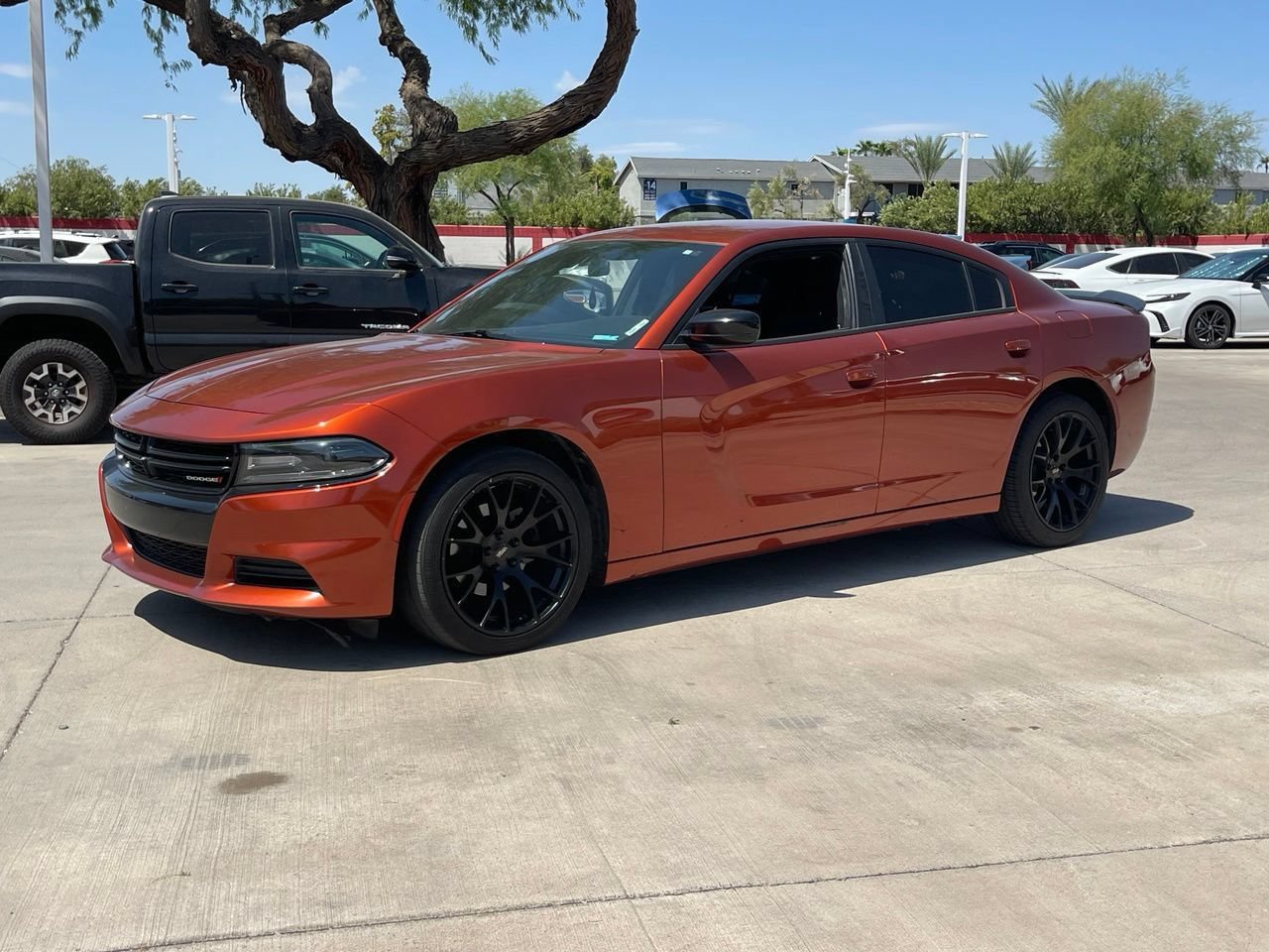 Used 2020 Dodge Charger SXT w/ Blacktop Package RWD image 4