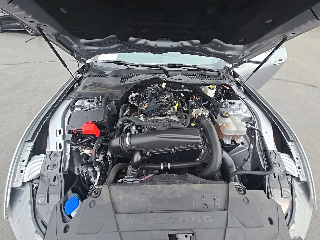 Used 2024 Ford Mustang Premium RWD image 10