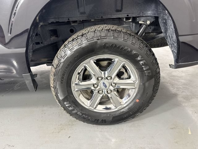 Used 2025 Ford F150 XLT w/ Equipment Group 301A Standard AWD/4WD image 5