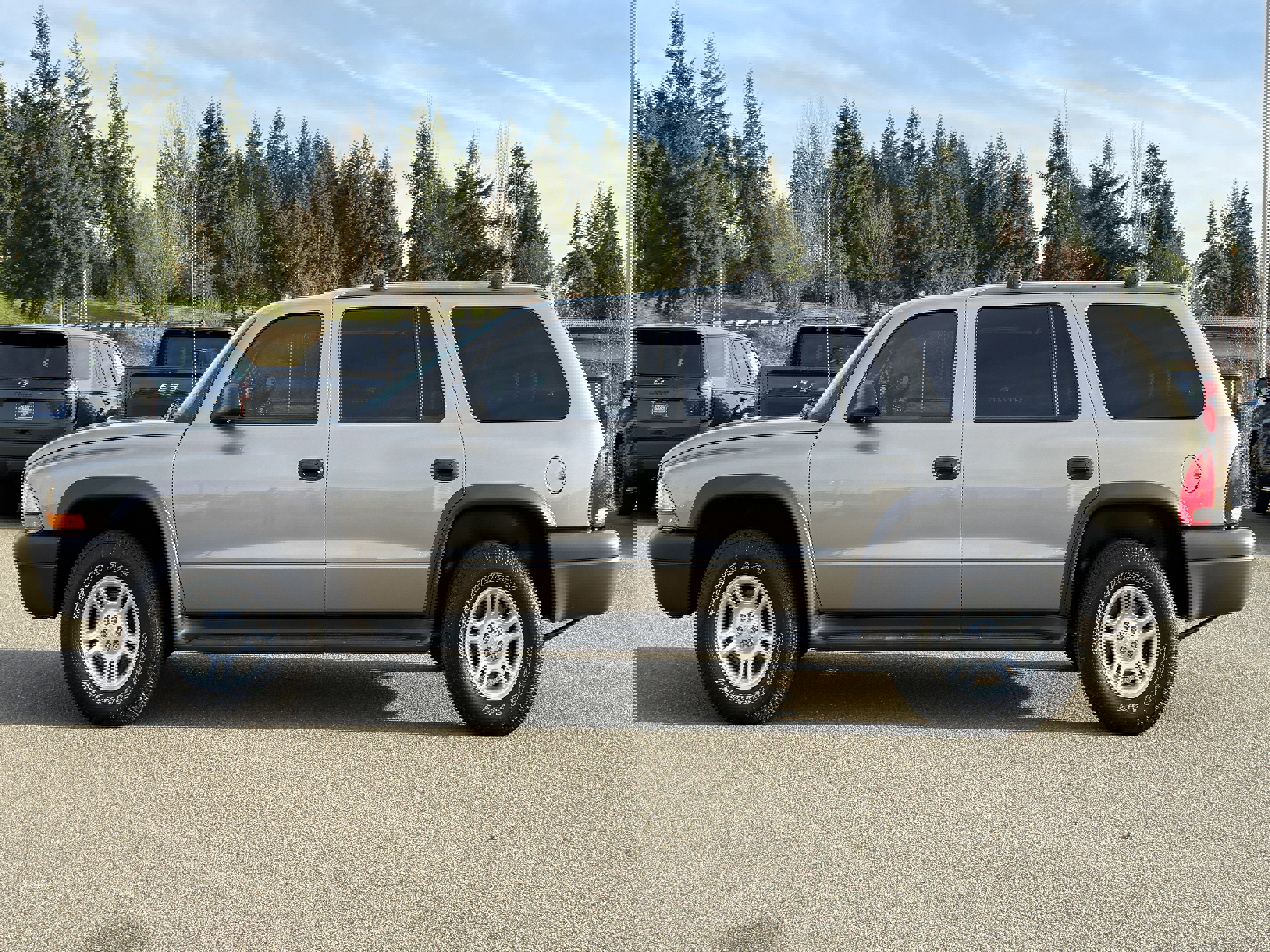 Used 2003 Dodge Durango Sport image 2