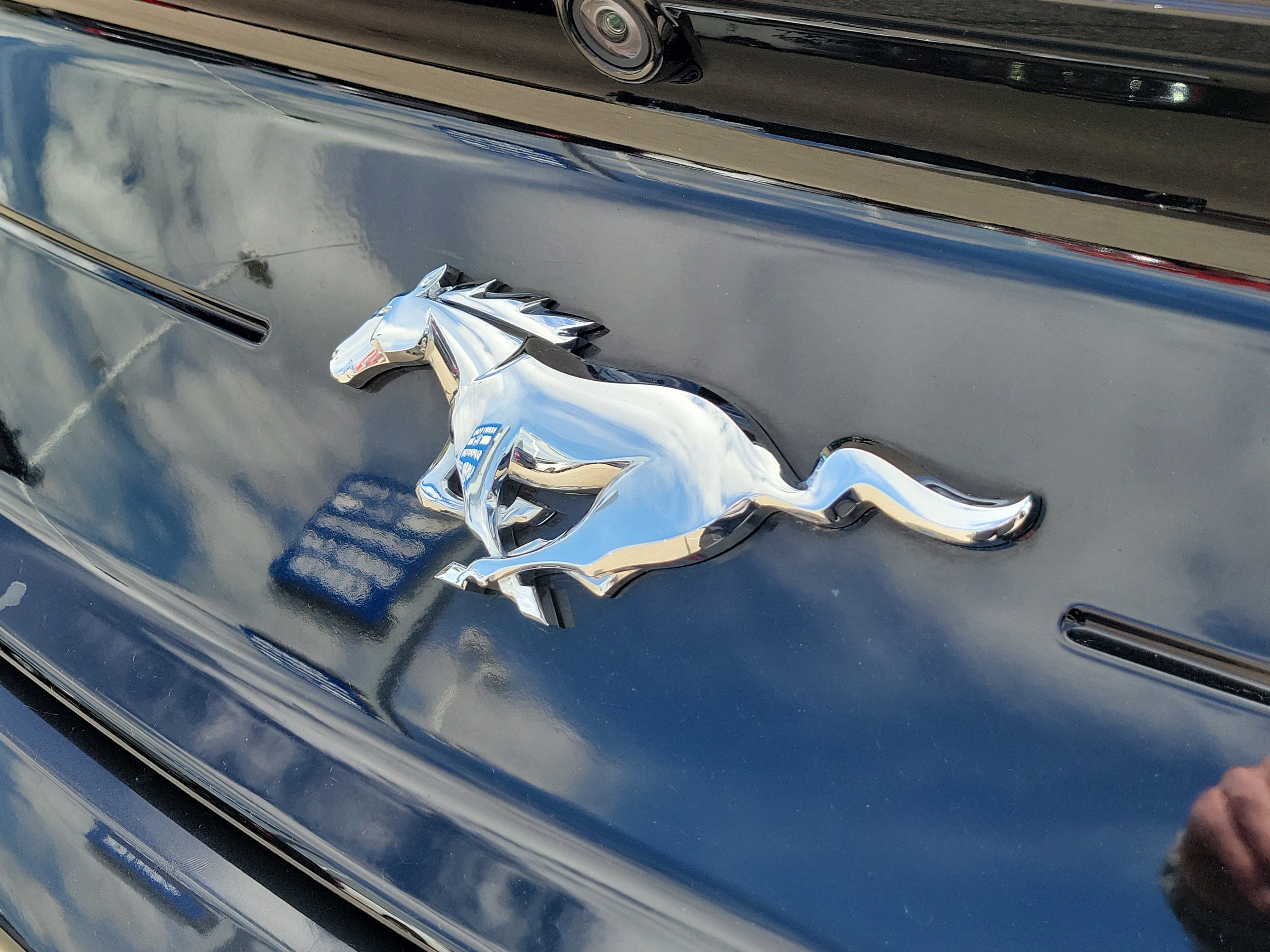 Used 2023 Ford Mustang Coupe image 6