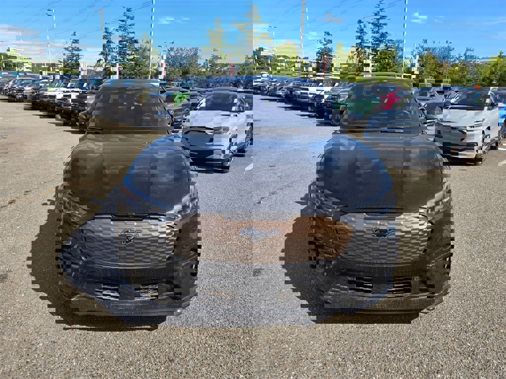 New 2025 Ford Mustang Mach-E GT w/ Bronze Appearance Package image 2