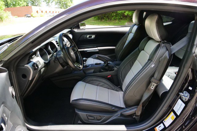 Used 2023 Ford Mustang GT w/ Mustang Nite Pony Package RWD image 25