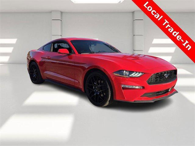 Used 2019 Ford Mustang Coupe w/ Equipment Group 101A image 7