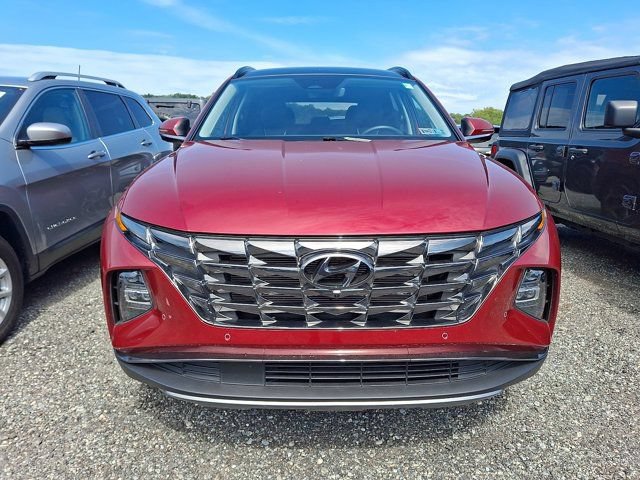 Used 2024 Hyundai Tucson Limited AWD/4WD image 2