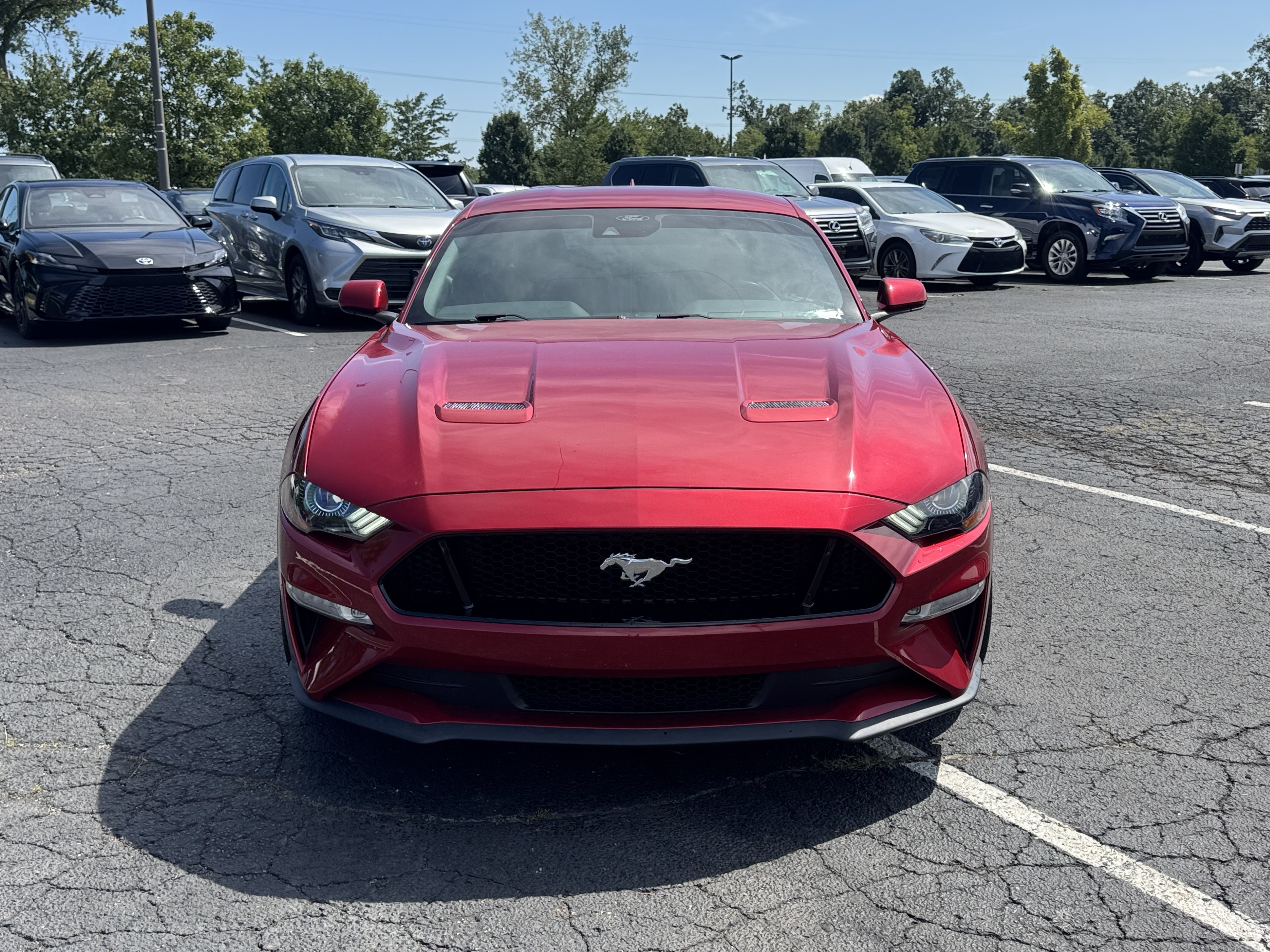 Used 2021 Ford Mustang GT w/ Enhanced Security Package RWD image 3