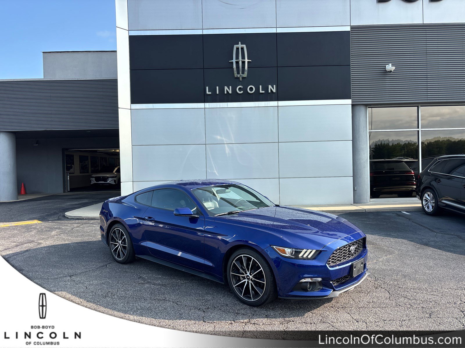 Used 2016 Ford Mustang Premium w/ Wheel & Stripe Package RWD image 1