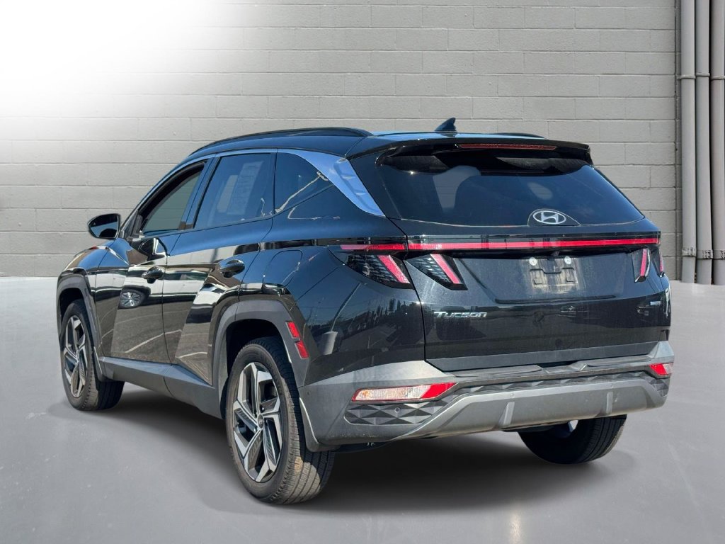 Used 2023 Hyundai Tucson Limited AWD/4WD image 6